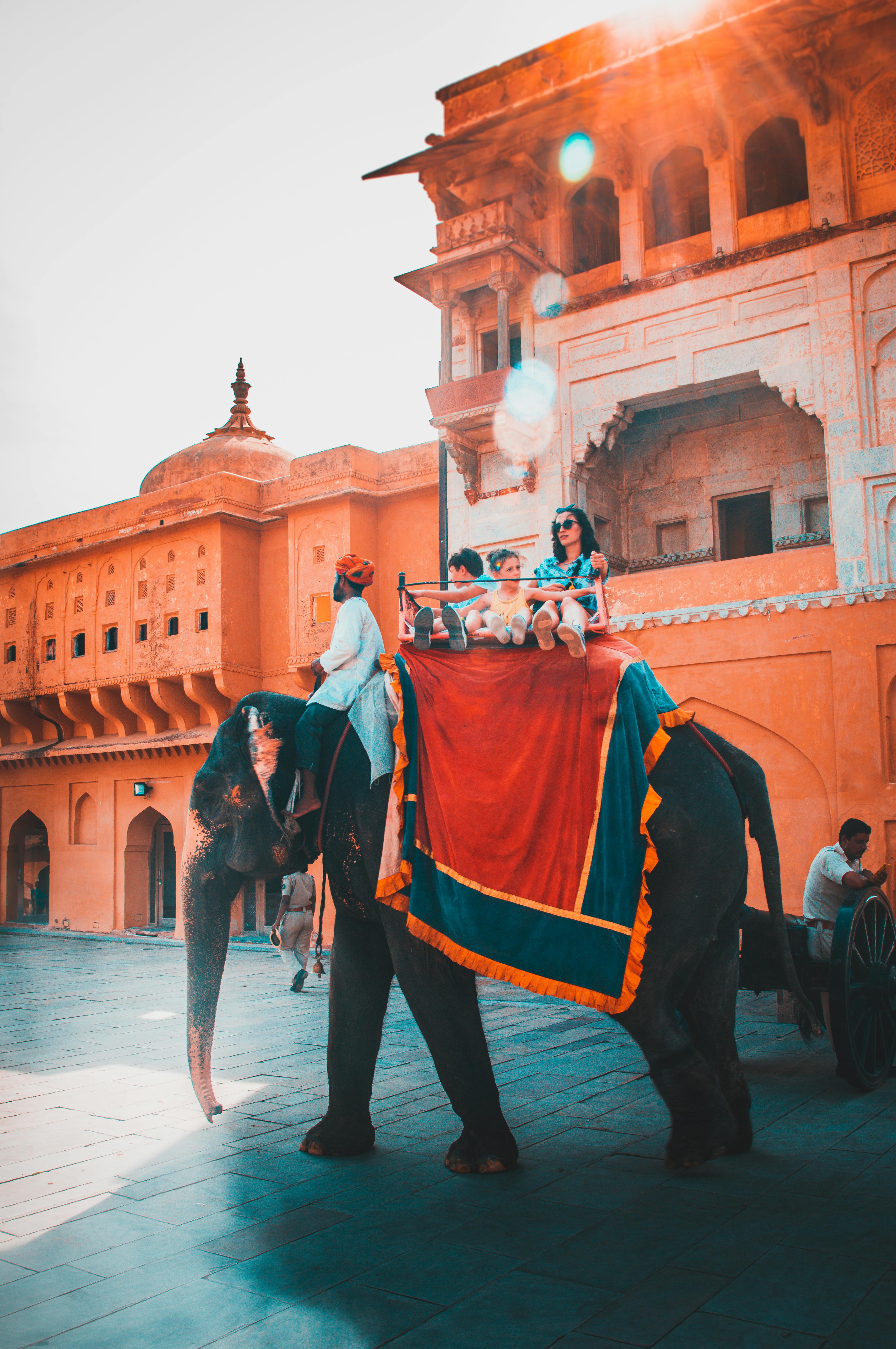 Jaipur City Private Day tour - 8 hours